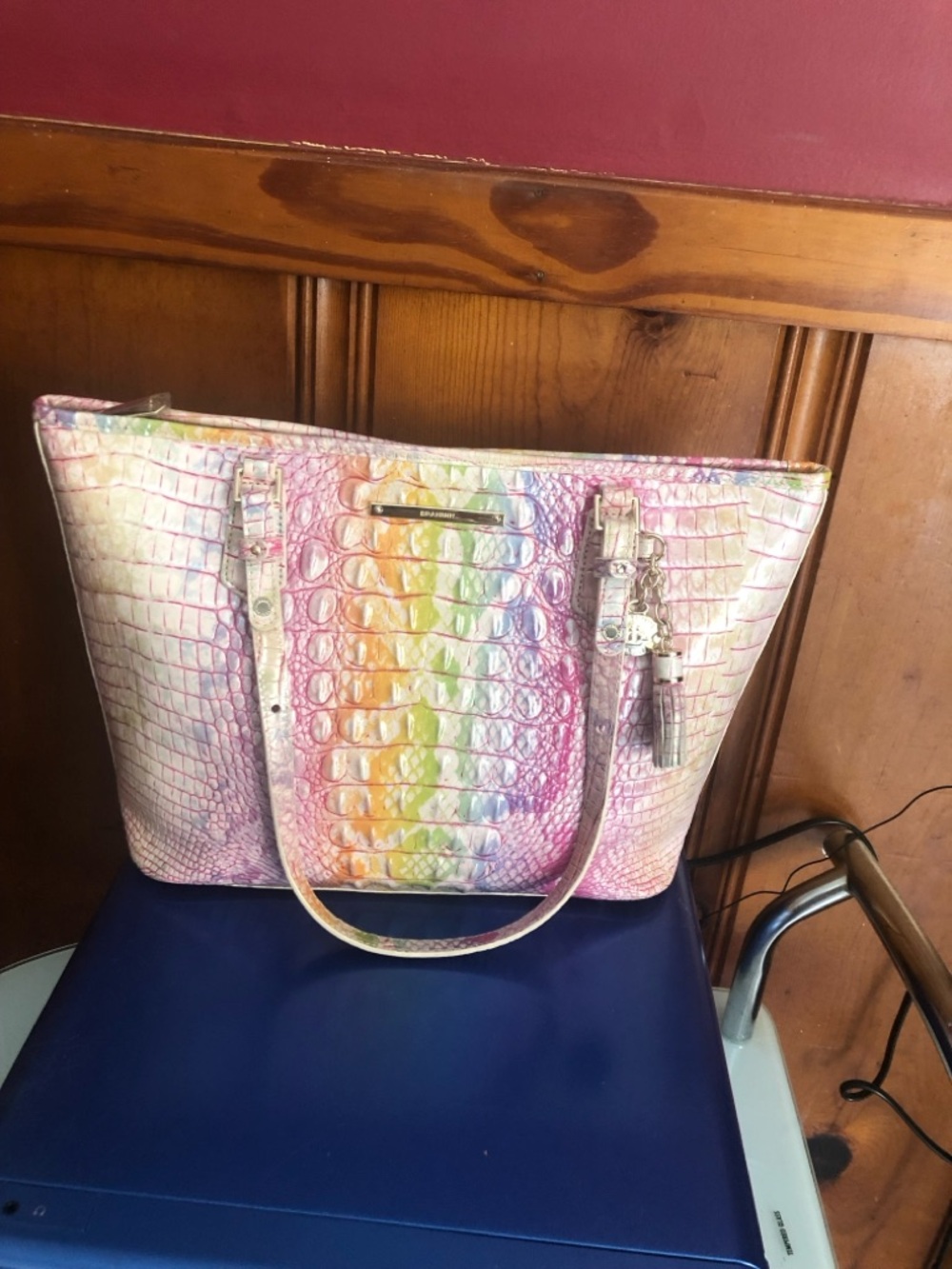 Brahmin optimism medium Asher Tote